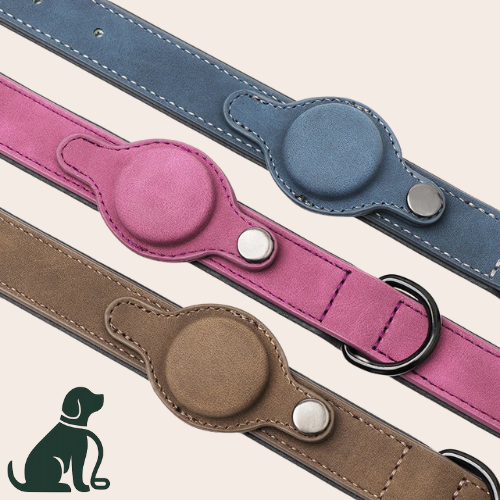 Brutus – Leren AirTag Hondenhalsband