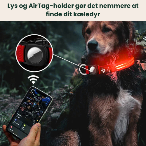 Thor – LED AirTag Hondenhalsband