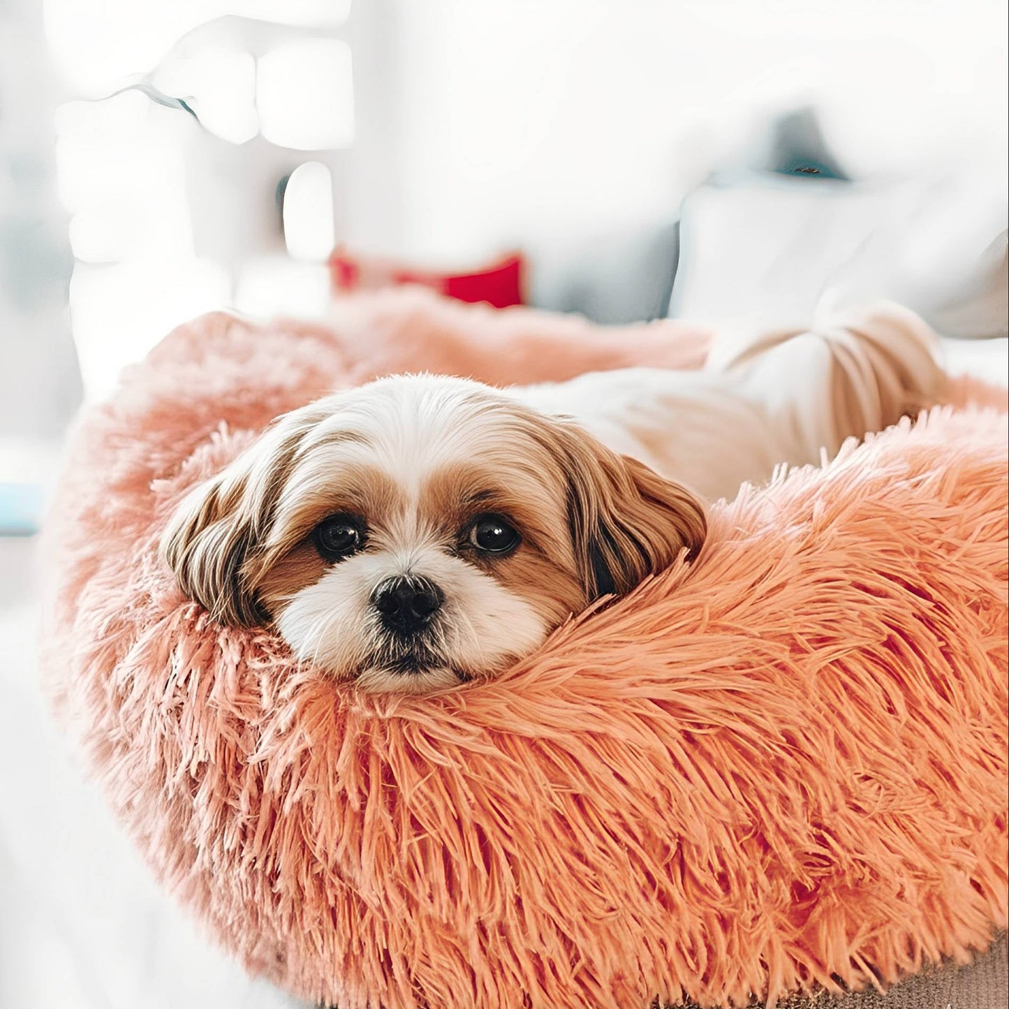 Nordic Nest – Zacht Wasbaar Huisdierbed