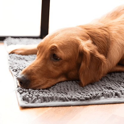 PawDry – Absorberende Antislip Hondenmat