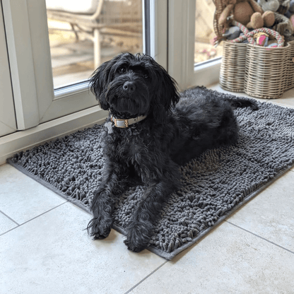 PawDry – Absorberende Antislip Hondenmat