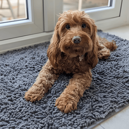 PawDry – Absorberende Antislip Hondenmat