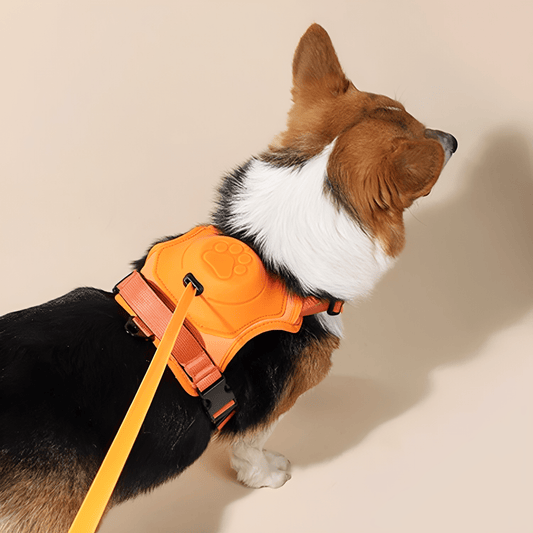 ComfortWalk – Justerbar anti-træk hundesele