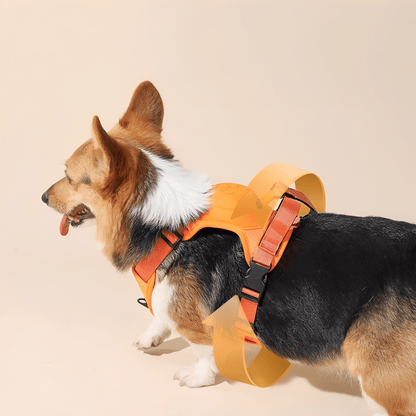 ComfortWalk – Verstelbaar Anti-Trek Hondentuig