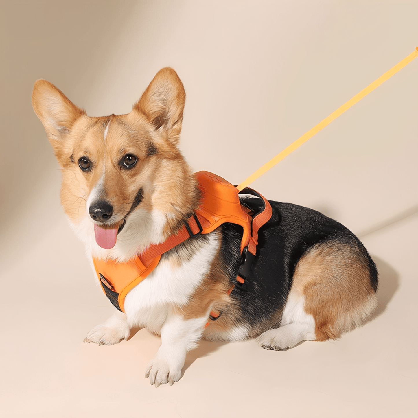 ComfortWalk – Verstelbaar Anti-Trek Hondentuig