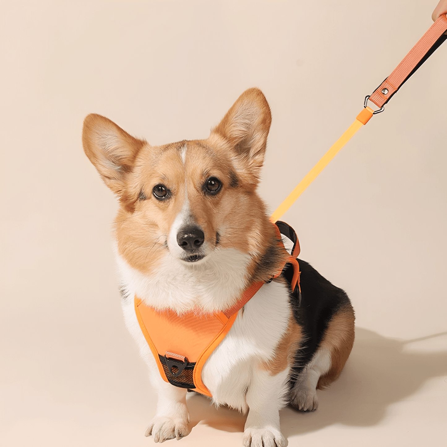 ComfortWalk – Verstelbaar Anti-Trek Hondentuig